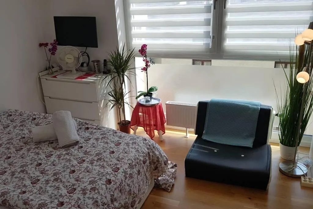 Mini Apartment In Fairy-Tale City! Heidelberg 0*,